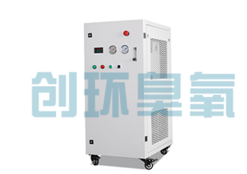 葫芦岛石斑鱼养殖水质调控完整指南:臭氧发生器配置与操作步骤