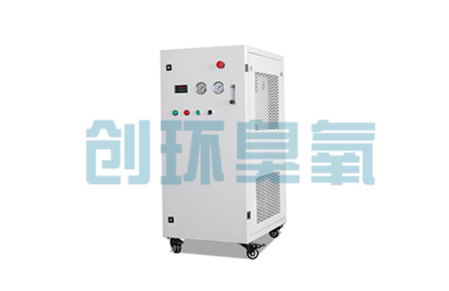 葫芦岛比传统换水更高效?臭氧发生器在石斑鱼养殖中的水质净化原理解析